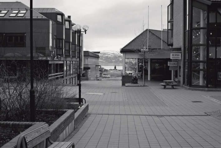 mo i rana 1994 havmannen helgeland sparebank fembøringen vinterhagen domus amfi
